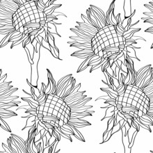 Sunflowers Field Seamless Pattern For Fabric Textile Design. Easy To Print. Line Art Black White Wildflowers.
