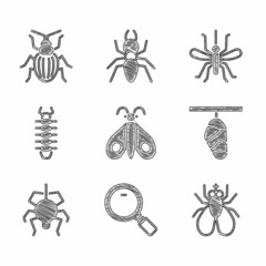 Wall Mural - Set Butterfly, Magnifying glass, Insect, cocoon, Spider, Centipede, Mosquito and Chafer beetle icon. Vector