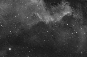 Wall Mural - Cygnus wall 
