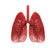 lung 3d red blood veins and capillary structure tangled on white background. abstract physiology and medical involve respiratory system lung disease. Isolated with clipping path. 3D Illustration.