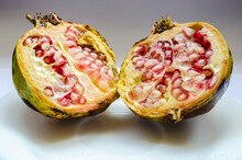 Pomegranate Cross Sections