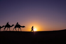 Caravana De Dromedarios En El Desierto Durante La Puesta De Sol