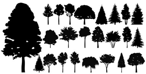 Wall Mural - trees set silhouette, on white background, isolated, vector