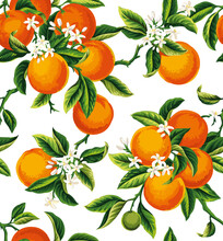 Seamless Pattern With Orange Fruits, Flowers And Leaves On A White Background. Vector Illustration.