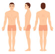 © sudowoodo - Male body chart template