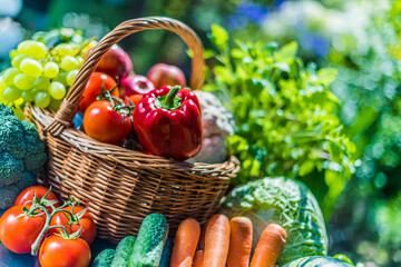 Wall Mural - Variety of fresh organic vegetables and fruits in the garden