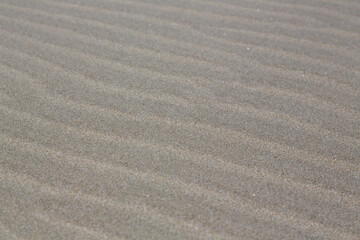 Wall Mural - Beach landscape France: Fine sand drifted by the wind forming structures as rows or lines at the wide beach of Carnon-Plage near Montpellier at the Mediterranean, close-up, texture, blurred background