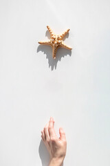 Wall Mural - Female hand reaching for a starfish on a white background. Top view, flat lay.