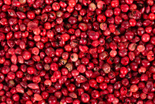 Pink Peppercorns Background. Dry Red Pepper Grain. Organic Spice. Top View.