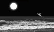 Mar, pez volador y luna llena. Paisaje nocturno. Ilustración.