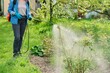 © Valerii Honcharuk - Woman with backpack garden spray gun under pressure handling bushes roses