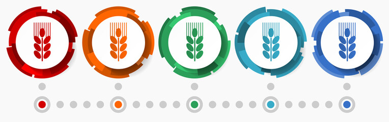 Poster - Wheat, grain concept vector icon set, modern design abstract web buttons in 5 color options, infographic template