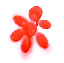 Spray Stain Paint In Shape Flower Isolated On White 
