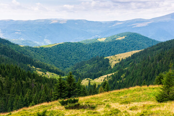 Canvas Print - forested hills of carpathian mountain landscape. view in to the distance. cloudy sky on a sunny summer day. beautiful nature background