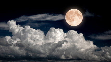 Wall Mural - full moon on night sky