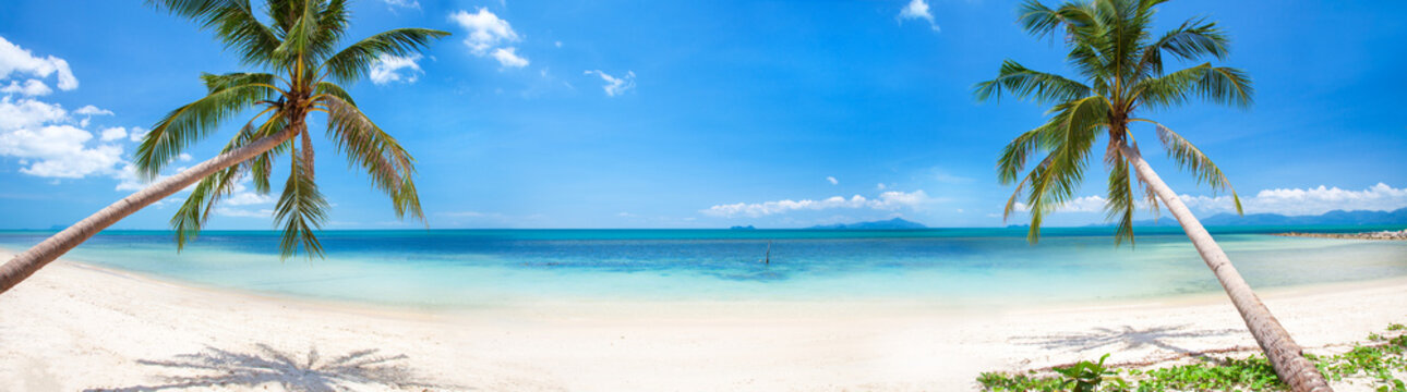 Fototapete - panorama of tropical beach with coconut palm trees