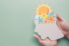 Hands Holding Paper Brain With Flowers And Sunshine, Positive Mental Health, Mindfulness, Wellness, Self Care Concept
