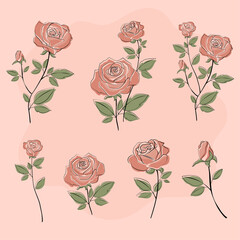 Wall Mural - Beautiful pastel pink rose vector icon collection 