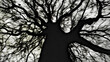 © Westend61 - Black and white illustration of bare tree in winter
