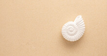 Summer Sea Concept. Ammonite Or Snail Shell On Sand. Top View. Copy Space.