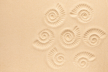 Ammonite print on sea sand. Top view. Copy space. Spiral pattern snail shell. Summer concept