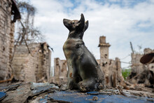 A Clay Figurine Of A Dog Against The Background Of A Destroyed House, Burned Down And Broken As A Result Of A Russian Army Shell Hitting It In The City Of Irpen, UkraineA Clay Figurine Of A Dog Agains