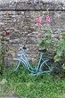 Blue bike with flowers in Beaujolais, France