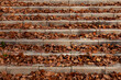 Dry fallen oak leaves in the park on steps of concrete staircase. Concept of timely cleaning of paths and territories from organic garbage