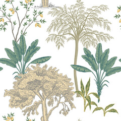 Poster - Park ink drawn trees,  banana tree, lemon tree summer floral seamless pattern. Exotic landscape wallpaper.