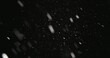 © Sved Oliver - White snow falling against dark background
