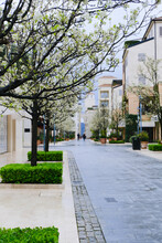 Porto Montenegro Pedestrianized Street With Blooming Trees Among Modern Architecture Building, Spring Season, Luxury Travel Place, Scenic Landscape