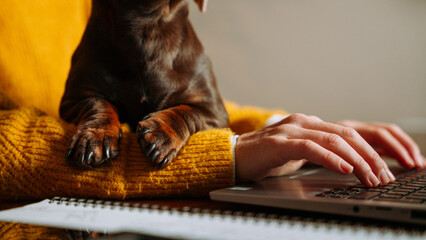 Caucasian business woman working from home with pet puppy