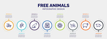 Infographic For Free Animals Concept. Vector Infographic Template With Icons And 8 Option Or Steps. Included Wild Octopus, Gecko, Sitting Cat, Long Haired Dog Head, Angular Flower, Null, Sheep With