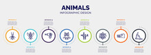 Infographic For Animals Concept. Vector Infographic Template With Icons And 8 Option Or Steps. Included Termite, Winged Insect, Hair Dryer, Owl, Bamboo, Sunflower, Crocodile, Eagle Editable Vector.
