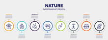 Infographic For Nature Concept. Vector Infographic Template With Icons And 8 Option Or Steps. Included Veterinary, Ladybug, Hydrotherapy, Bush, Teasing Stick, Stick Insect, Pet Carrier, Cactus