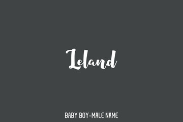 Canvas Print - Text Typography Lettering of Baby Boy Name 