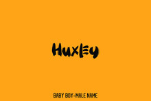 Grunge Brush Text Calligraphic Sign Of Baby Boy Name "  Huxley "