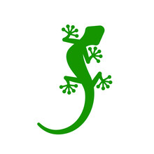 Gecko Logo Icon Vector Illustration