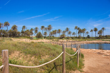 Poster - Vega Baja del Segura - Torrevieja - Un oasis junto al mar en Cala Ferris