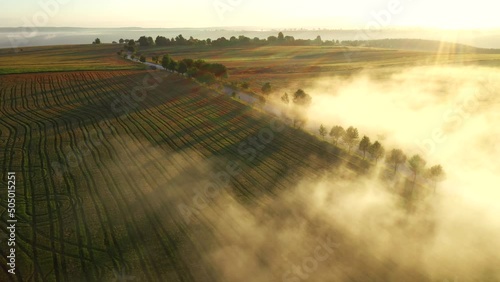 Fototapete - Gorgeous footage from a bird's eye view of a cultivated land.