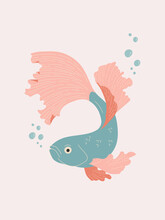 Turquoise And Red Aquarium Betta Fish Vector Illustration. Oriental Poster Design