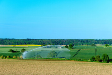 Wall Mural - Irrigation system in function watering agricultural plants