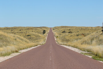 Wall Mural - The long, straight tarred road from Upington to the Kgalagadi Transfrontier Park, South Africa