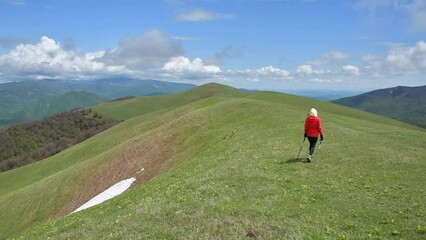 Wall Mural - BAck view female hiker nordic walking tracking outdoors in spring nature alone in slow motion