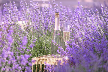 Sticker - Glass of champagne in a lavender field. Violet flowers on the background.