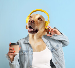 Funny Labrador dog with human body listening to music and drinking coffee on light blue background