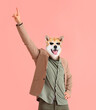 Funny dancing dog with human body on pink background