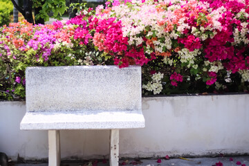 Single blank white stone bench on colorful bougainvillea flowers in garden of park background