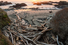 Seascape Of Driftwood Washed Up On Shore Of Northern California Beach