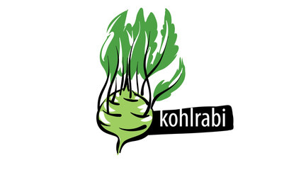 Wall Mural - Drawn kohlrabi isolated on a white background